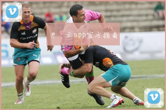 开·云app官方指南