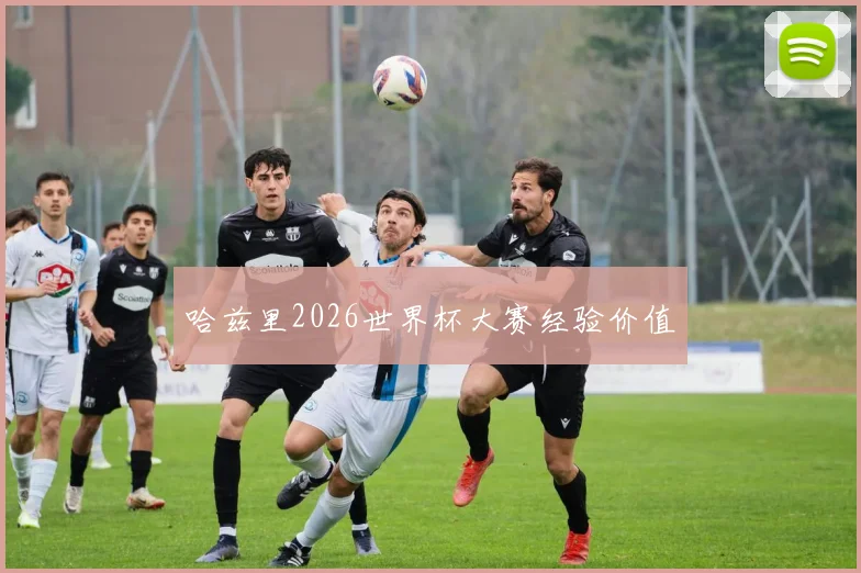 哈兹里2026世界杯大赛经验价值