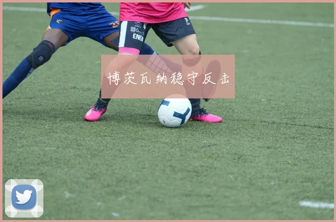 博茨瓦纳稳守反击