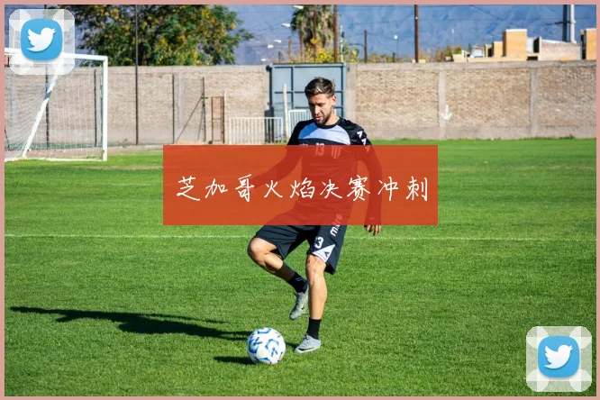 芝加哥火焰决赛冲刺