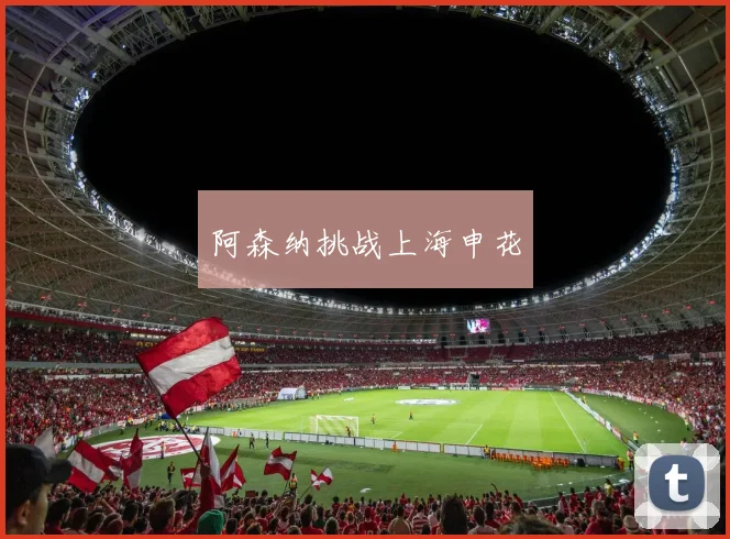 阿森纳挑战上海申花