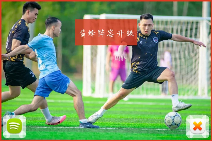 黄蜂阵容升级