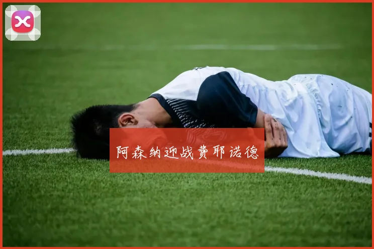 阿森纳迎战费耶诺德