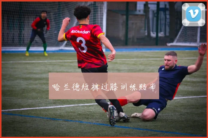 哈兰德短裤过膝训练赔率