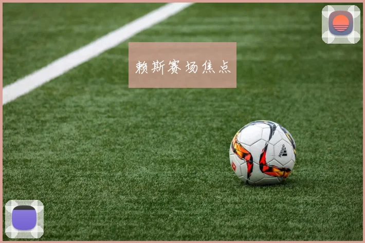 赖斯赛场焦点