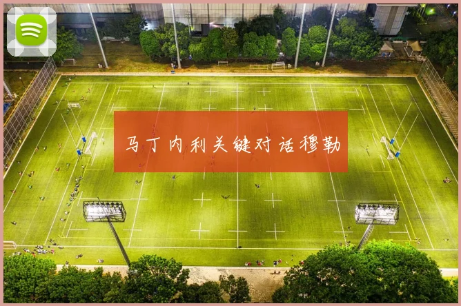 马丁内利关键对话穆勒