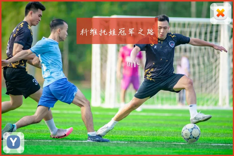 科维托娃冠军之路
