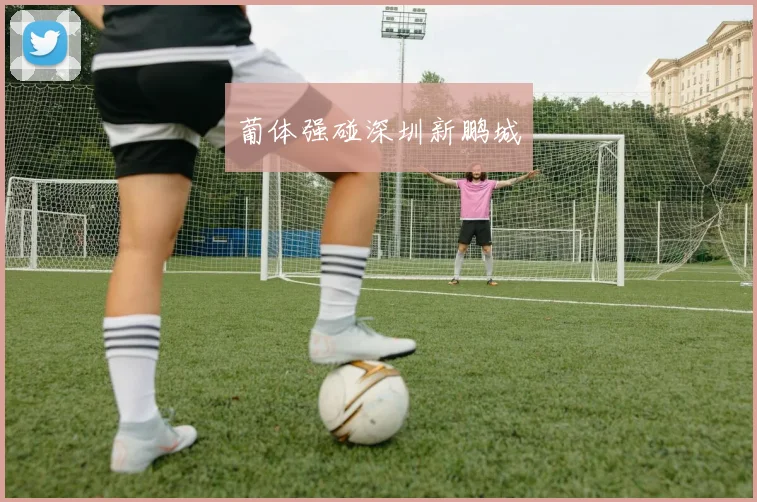 葡体强碰深圳新鹏城