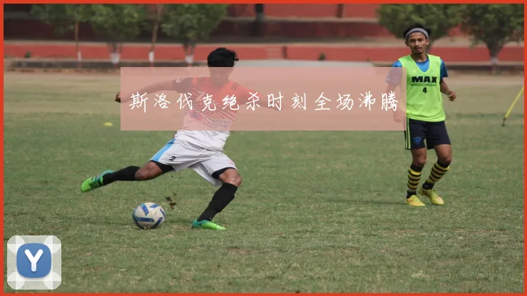 斯洛伐克绝杀时刻全场沸腾