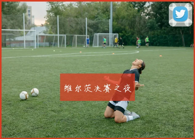 维尔茨决赛之夜