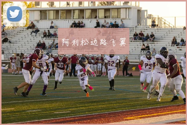 阿利松边路飞翼
