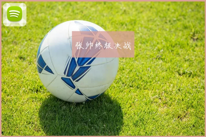 张帅终极决战
