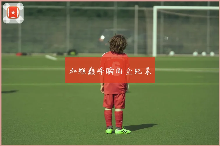 加维巅峰瞬间全纪录