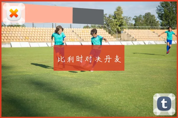比利时对决丹麦