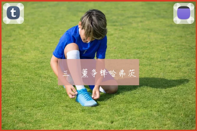 三笘薰争锋哈弗茨
