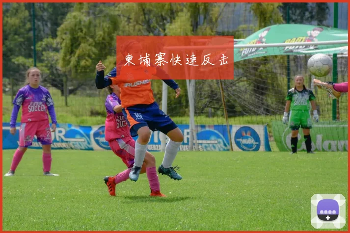柬埔寨快速反击