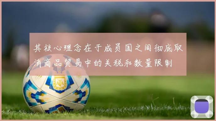 其核心理念在于成员国之间彻底取消商品贸易中的关税和数量限制