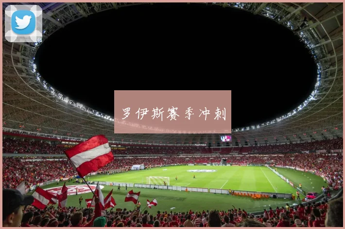罗伊斯赛季冲刺