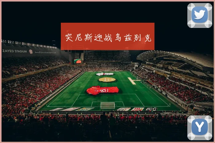 突尼斯迎战乌兹别克