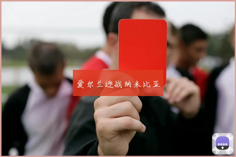 爱尔兰迎战纳米比亚