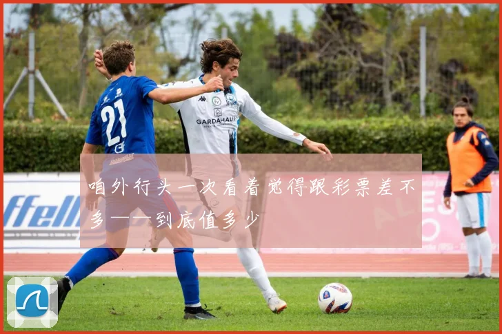 咱外行头一次看着觉得跟彩票差不多——到底值多少