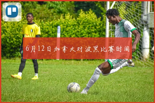 6月12日加拿大对波黑比赛时间