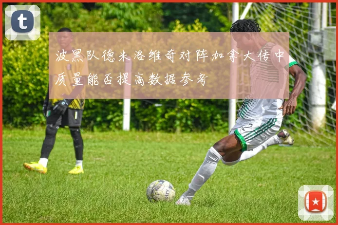 波黑队德米洛维奇对阵加拿大传中质量能否提高数据参考