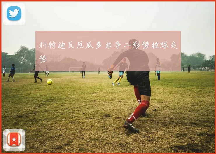 科特迪瓦厄瓜多尔争二形势控球走势