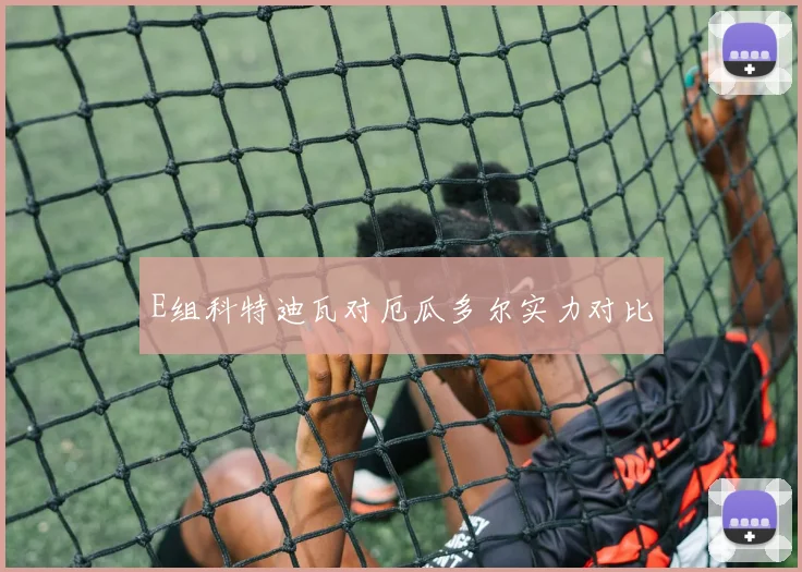 E组科特迪瓦对厄瓜多尔实力对比