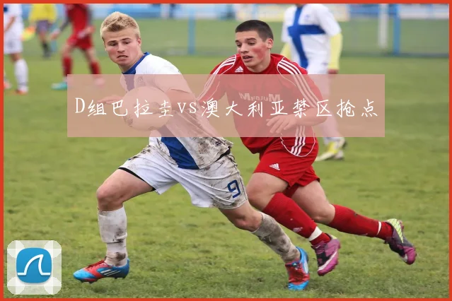 D组巴拉圭vs澳大利亚禁区抢点