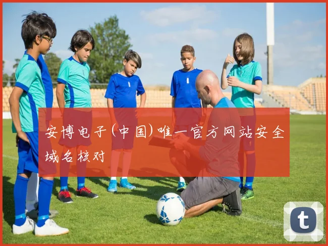 安博电子(中国)唯一官方网站安全域名核对