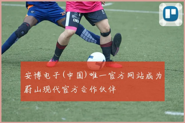 安博电子(中国)唯一官方网站成为蔚山现代官方合作伙伴
